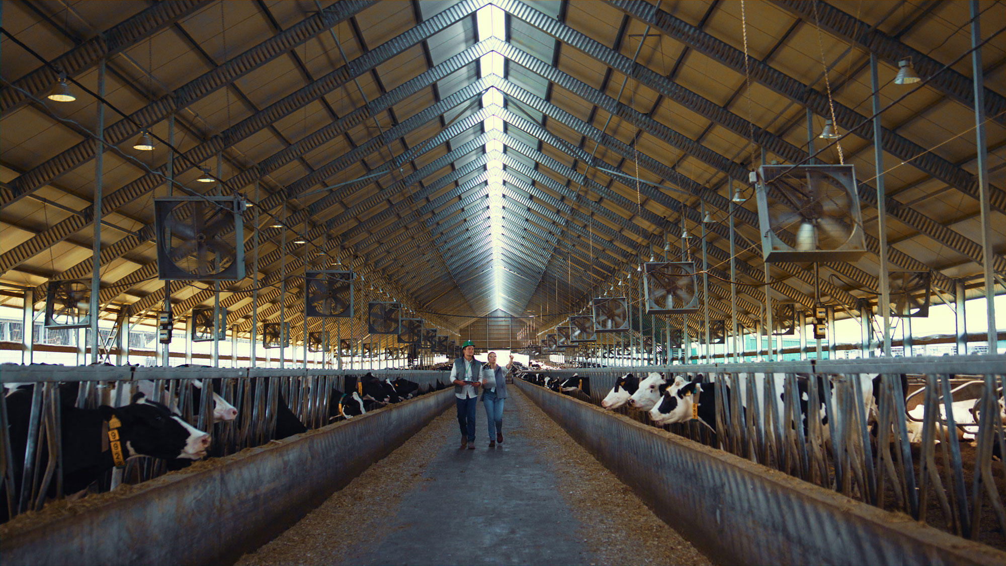 Agribusiness Insurance Support
